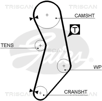 TRISCAN Zahnriemen