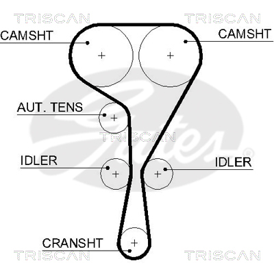 TRISCAN Zahnriemen