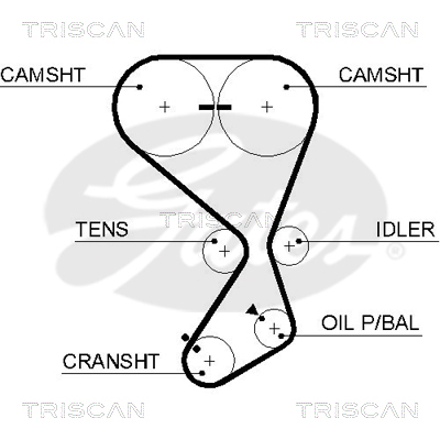 TRISCAN Zahnriemen