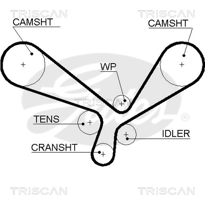 TRISCAN Zahnriemen