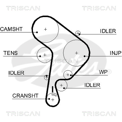 TRISCAN Zahnriemen