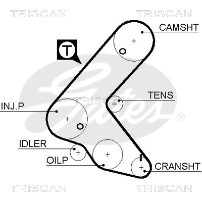 TRISCAN Zahnriemen