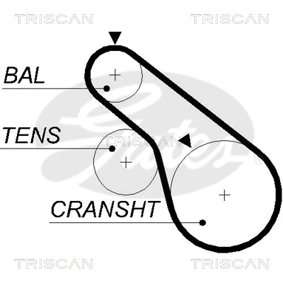 TRISCAN Zahnriemen