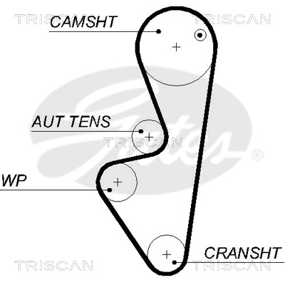 TRISCAN Zahnriemen