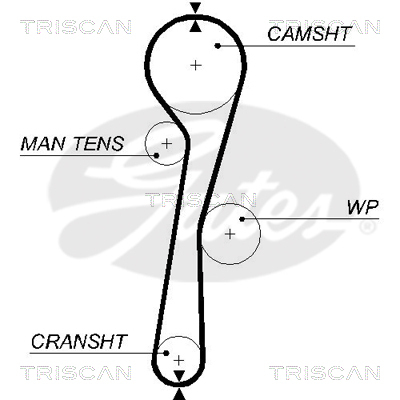 TRISCAN Zahnriemen