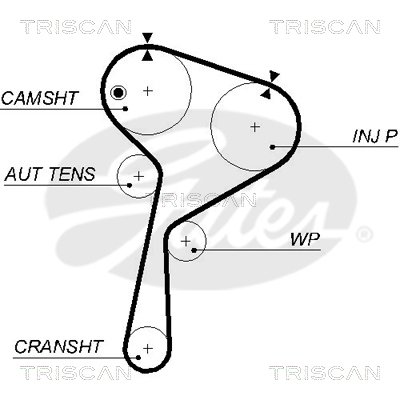 TRISCAN Zahnriemen