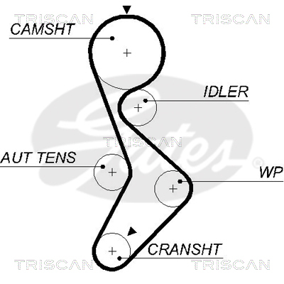 TRISCAN Zahnriemen