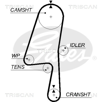 TRISCAN Zahnriemen