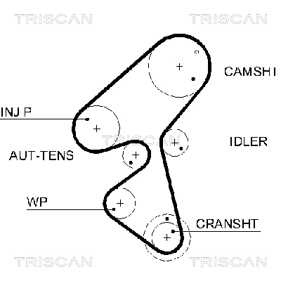 TRISCAN Zahnriemen