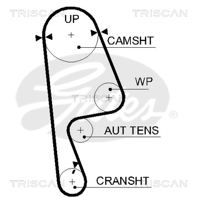 TRISCAN Zahnriemen