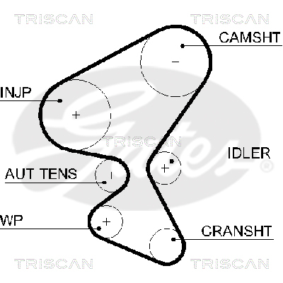 TRISCAN Zahnriemen