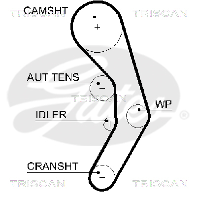 TRISCAN Zahnriemen