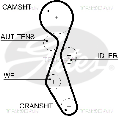 TRISCAN Zahnriemen