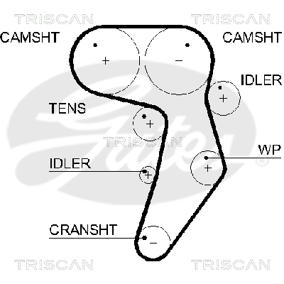 TRISCAN Zahnriemen
