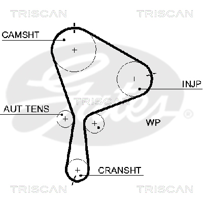 TRISCAN Zahnriemen