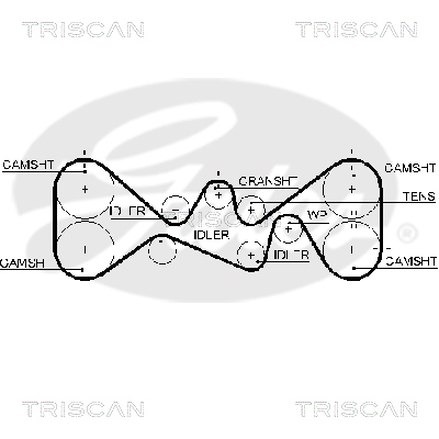 TRISCAN Zahnriemen