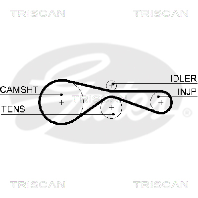 TRISCAN Zahnriemen