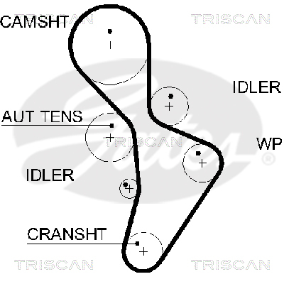 TRISCAN Zahnriemen