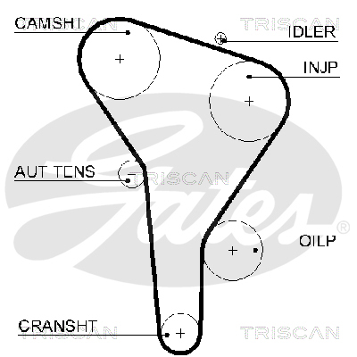 TRISCAN Zahnriemen