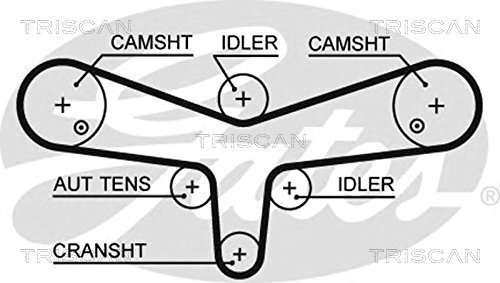 TRISCAN Zahnriemen