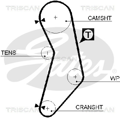 TRISCAN Zahnriemen