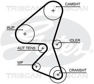 TRISCAN Zahnriemen