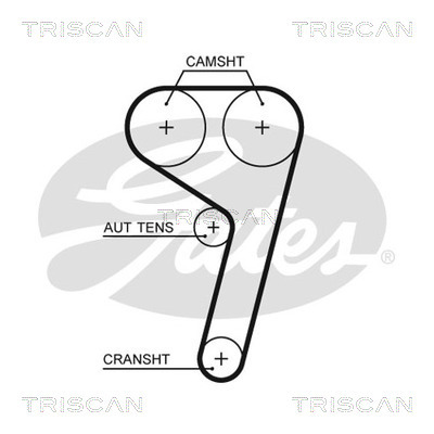 TRISCAN Zahnriemen