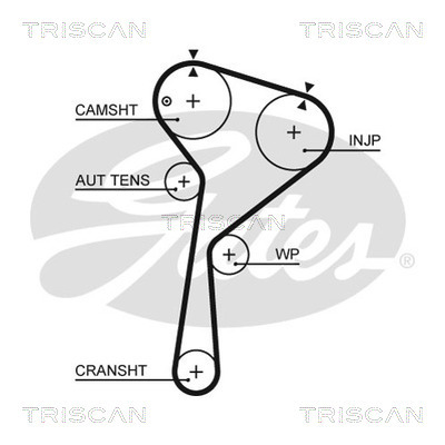 TRISCAN Zahnriemen
