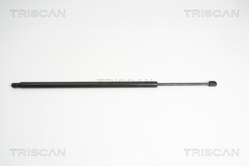 TRISCAN Gasfeder, Koffer-/Laderaum