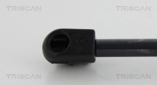 TRISCAN Gasfeder, Koffer-/Laderaum