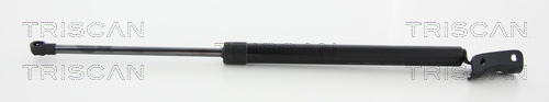 TRISCAN Gasfeder, Koffer-/Laderaum