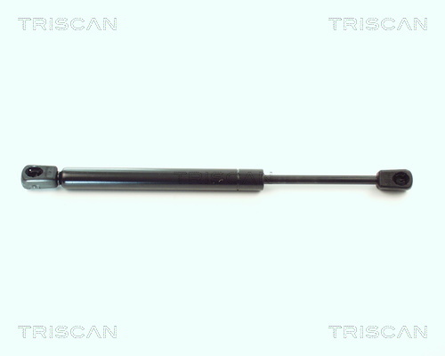 TRISCAN Gasfeder, Koffer-/Laderaum