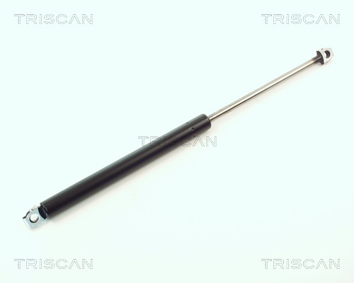 TRISCAN Gasfeder, Koffer-/Laderaum