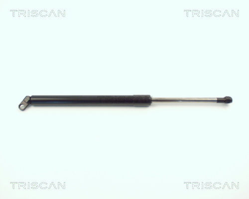 TRISCAN Gasfeder, Koffer-/Laderaum