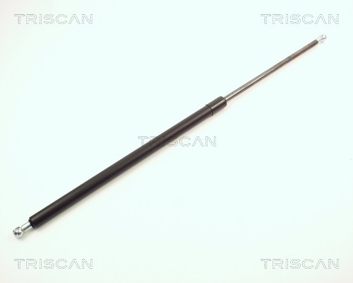 TRISCAN Gasfeder, Koffer-/Laderaum