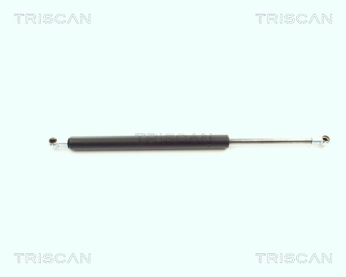 TRISCAN Gasfeder, Koffer-/Laderaum