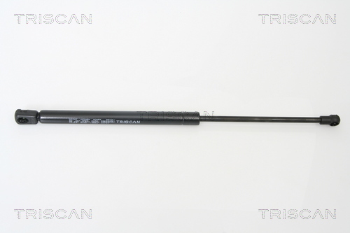 TRISCAN Gasfeder, Koffer-/Laderaum