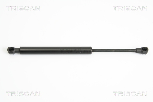 TRISCAN Gasfeder, Koffer-/Laderaum