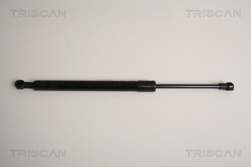 TRISCAN Gasfeder, Koffer-/Laderaum
