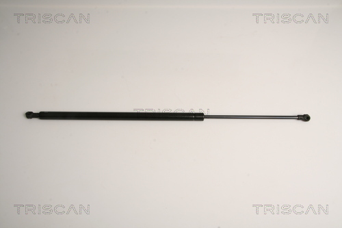 TRISCAN Gasfeder, Koffer-/Laderaum
