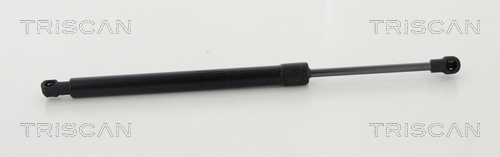 TRISCAN Gasfeder, Koffer-/Laderaum