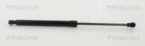 TRISCAN Gasfeder, Koffer-/Laderaum