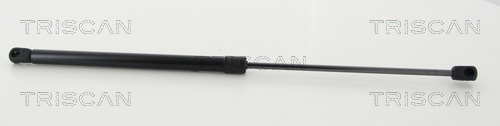 TRISCAN Gasfeder, Koffer-/Laderaum
