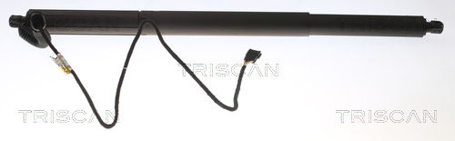 TRISCAN Gasfeder, Koffer-/Laderaum