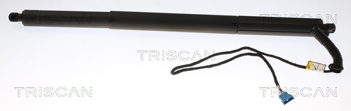 TRISCAN Gasfeder, Koffer-/Laderaum