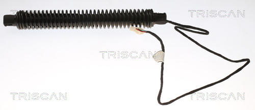 TRISCAN Gasfeder, Koffer-/Laderaum