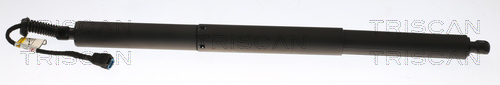 TRISCAN Gasfeder, Koffer-/Laderaum