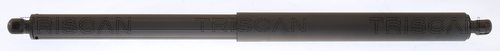 TRISCAN Gasfeder, Koffer-/Laderaum