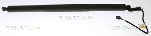 TRISCAN Gasfeder, Koffer-/Laderaum