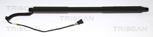 TRISCAN Gasfeder, Koffer-/Laderaum